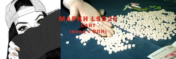 прущие грибы Баксан