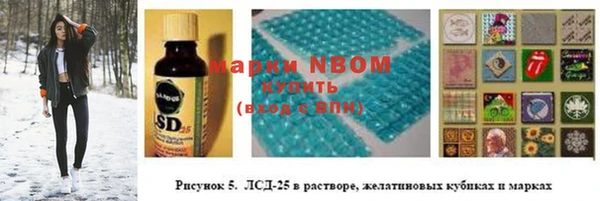 прущие грибы Баксан
