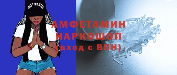 прущие грибы Баксан