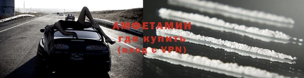 прущие грибы Баксан