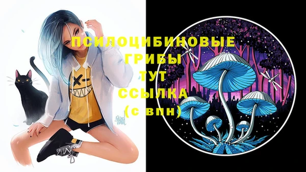 прущие грибы Баксан