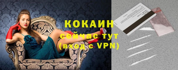 прущие крисы Балахна