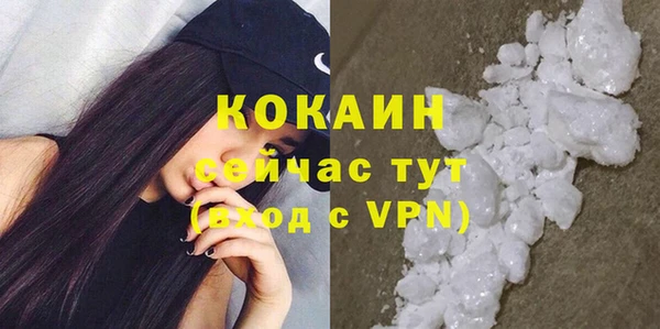 прущие грибы Баксан