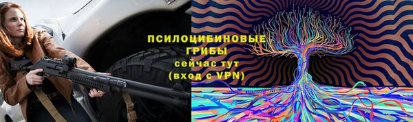 прущие крисы Балахна