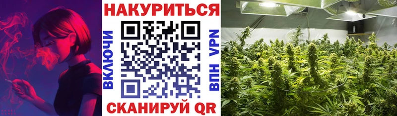 блэк спрут маркетплейс  Губаха  МАРИХУАНА индика 